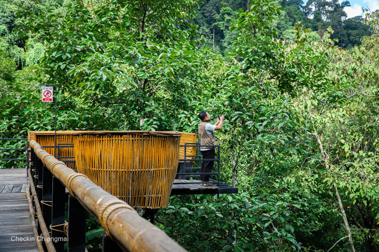 Sky Hawk Zipline Adventure in Chiang Mai Pack B: Zipline full course (with Transfer)