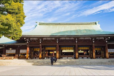 Tokyo Full Day Customizable Private Tour with English Guide