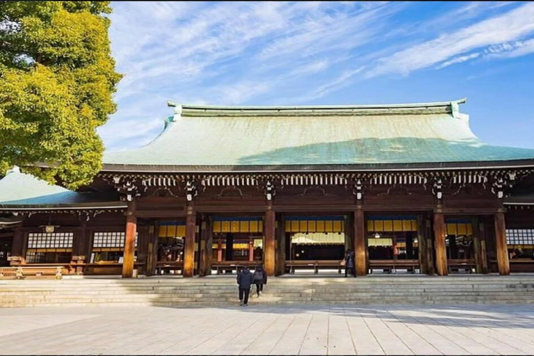 Tokyo Full Day Customizable Private Tour with English Guide