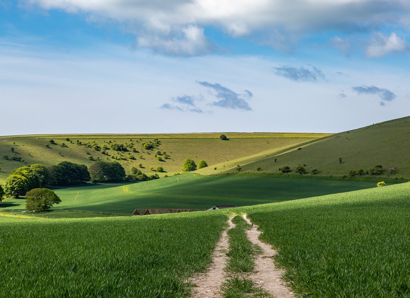 From London: Seven Sisters And South Downs Full-Day Tour | BookYourTour.com