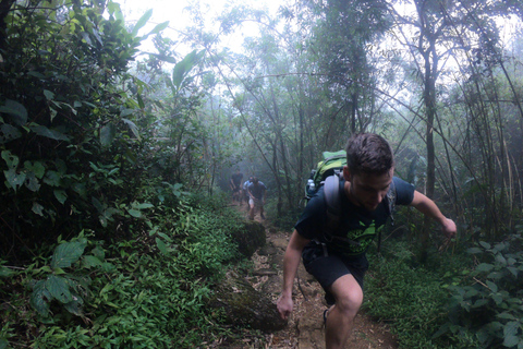 Kandy: Waterfalls and Local Village Day Tour with Lunch