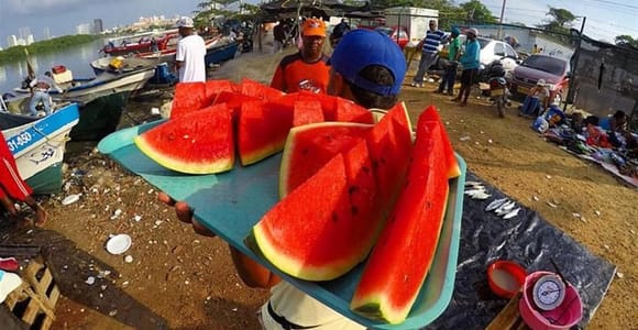 Cartagena: Bazurto Market Guided Tour with Lunch & Transfer