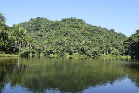 Tanzania: 8-Day Road Trip to Kilimanjaro, Lushoto & More