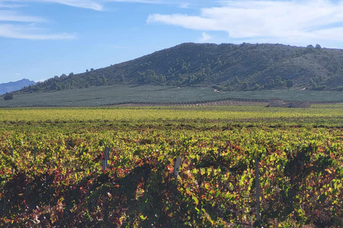 Escursione di un giorno per scoprire il cuore della regione vinicola di Alicante!