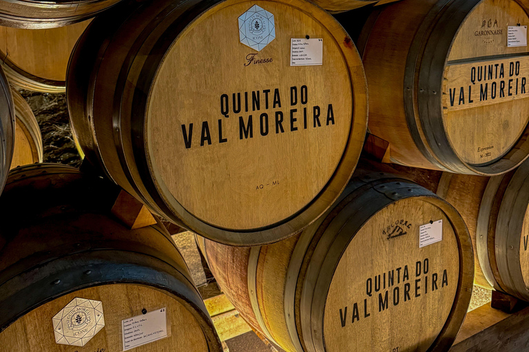 Douro Valley: Wine & Olive Oil Tour with Boat & Lunch Douro Valley: 2 Wineries, Boat Cruise & Traditional Lunch