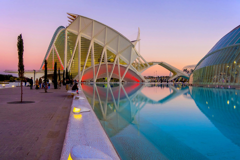 Valencia all in one: beaches, old town & city arts by E-bike Shared Tour Valencia All in one