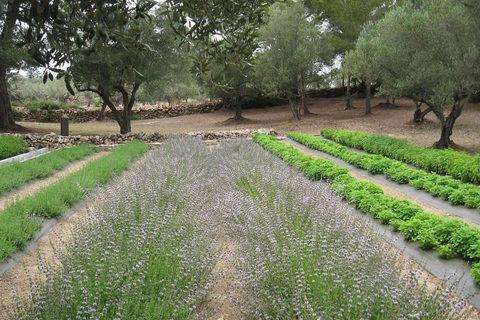 Ecoherbes - Zwiedzanie ogrodu botanicznego z przewodnikiem