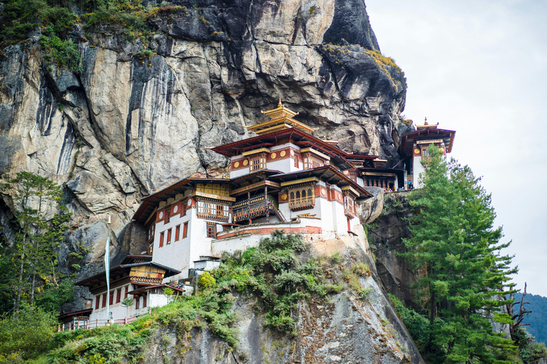 Bhutan: 5 Day Wellness Buddhism Retreat tiger's nest Tour
