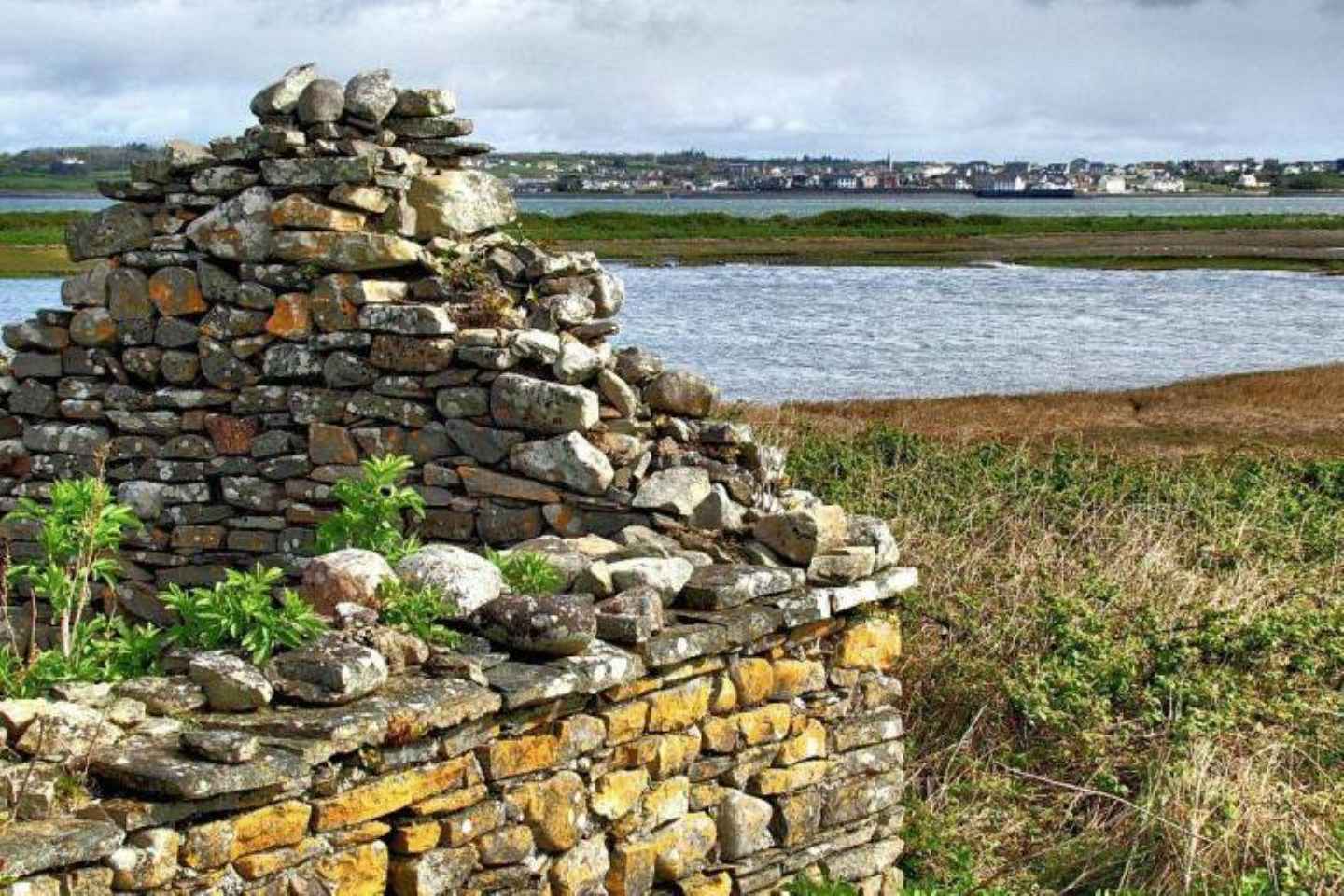 Kilrush: Scattery Island Guided Walking Tour