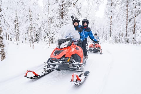 Rovaniemi: Leichte Schneemobilsafari