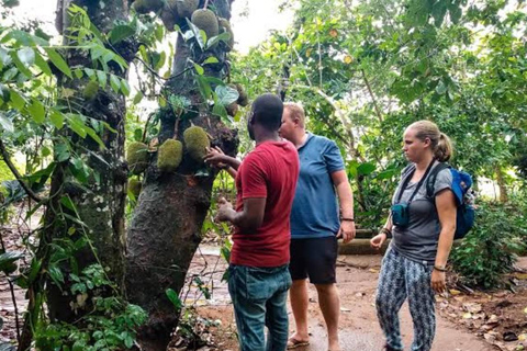 Zanzibar: Spice Farm, Salaam Cave & The Rock Restaurant