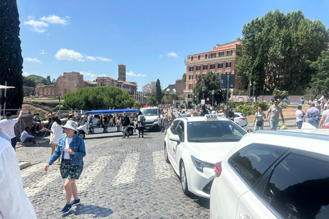 Small Group Guided Tour Colosseum Roman Forum, Palatine Hill Standard Tickets