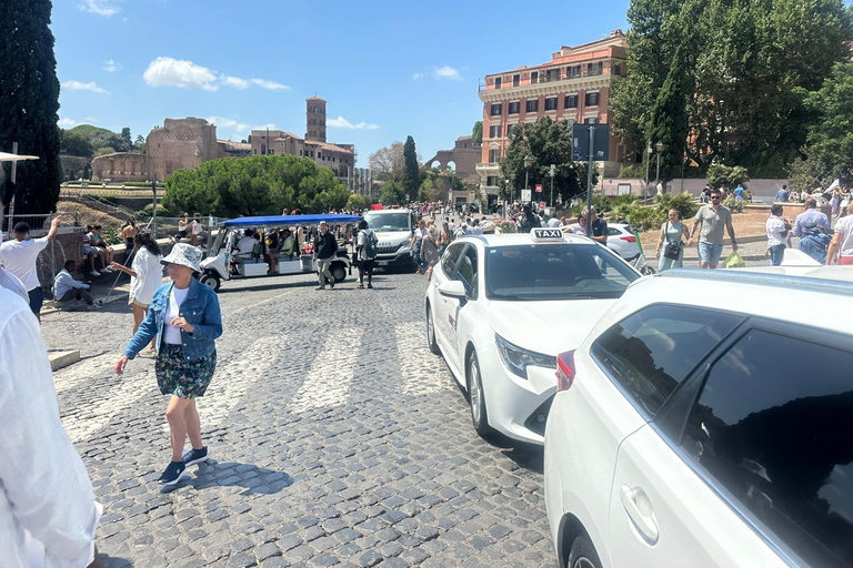 Small Group Guided Tour Colosseum Roman Forum, Palatine Hill Standard Tickets