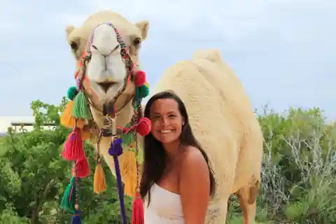 Los Cabos: E-Bike & Camel Adventure with Mexican Lunch