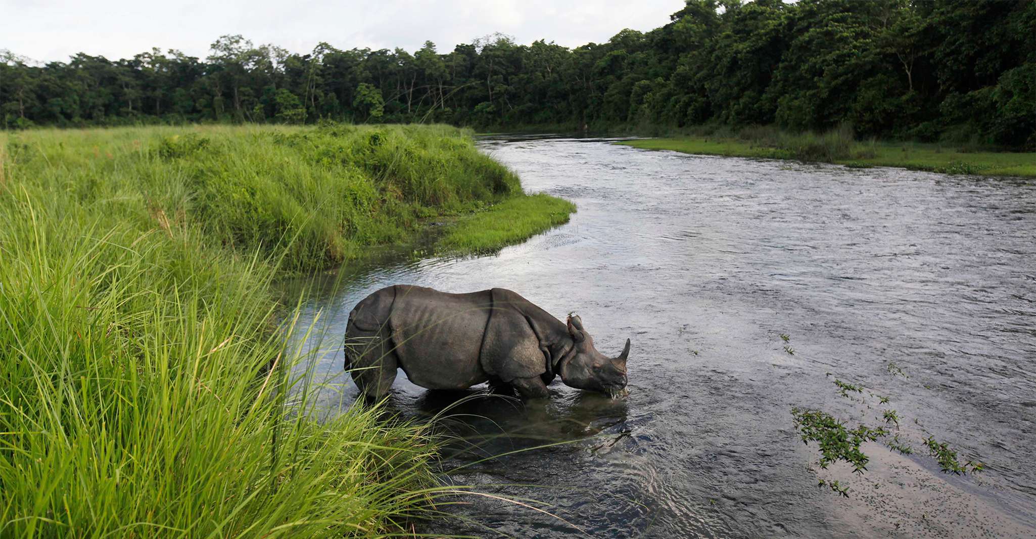 3 Nights 4 Days Chitwan National Park with Tower Night Stay - Housity