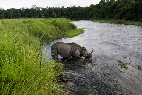 3 notti 4 giorni Parco nazionale di Chitwan con pernottamento nella torre