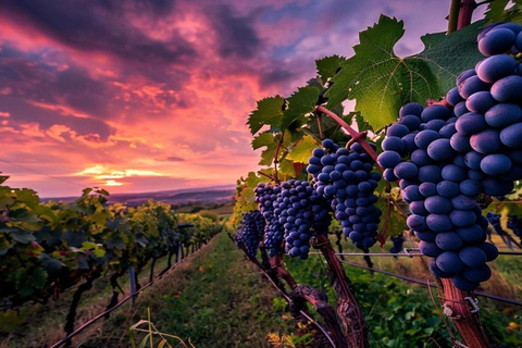 Kakheti: Bodbe, Sighnaghi en Telavi dagvullende tour