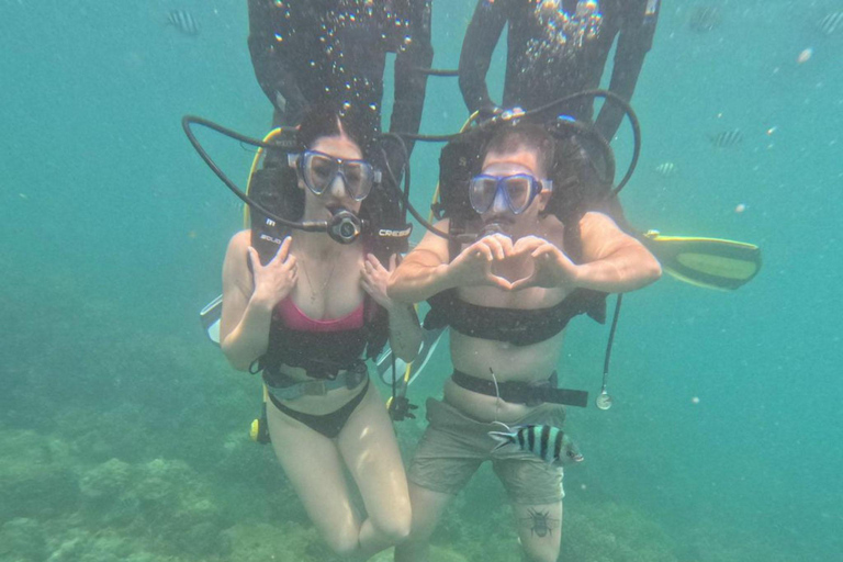Da Nang/Hoi An: Cham Islands Snorkeling Trip with Lunch Da Nang/Hoi An: Cham Islands Snorkeling Trip with Lunch