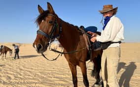 Authentic Tozeur on horseback with private transfer