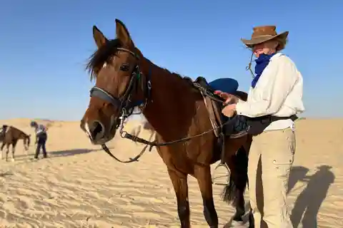 Authentique Tozeur à cheval avec transfert privé