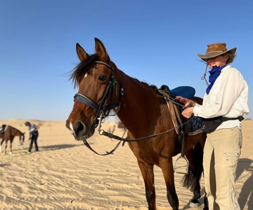Authentic Tozeur on horseback with private transfer