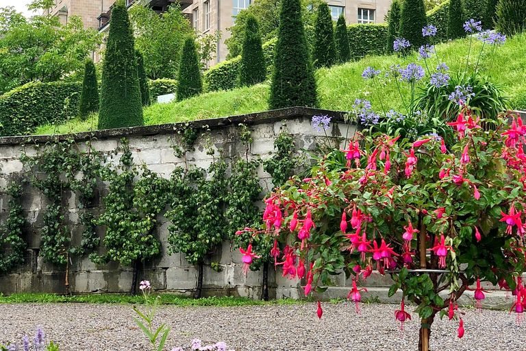 Zurich: City Tour with Ferry and Cable Car Ride