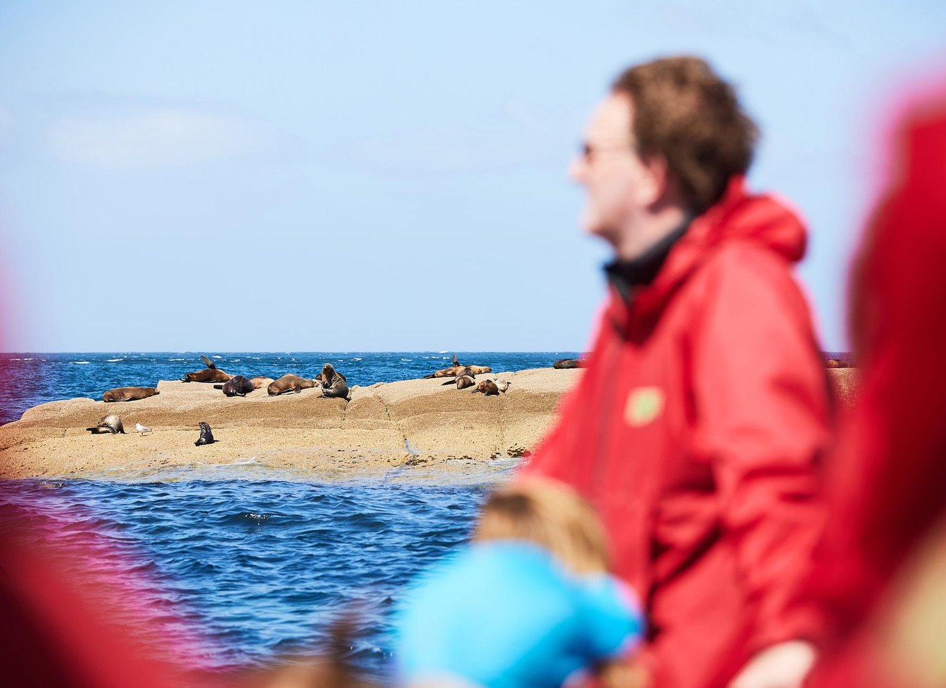 Wilsons Promontory: Eftermiddagskrydstogt i vildmarken