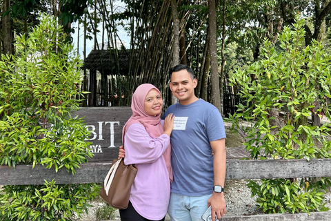 Kuala Lumpur: Private City Highlights Tour