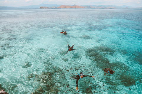 Jeddah: Bayada Boat & Snorkeling Adventure
