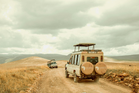Arusha: Safari di 5 giorni nel Serengeti durante la stagione dei parti a NdutuArusha: Safari di 5 giorni nella stagione dei parti a Ndutu nel Serengeti
