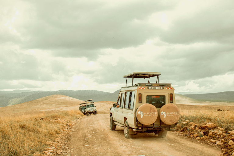 Arusha: Safari di 5 giorni nel Serengeti durante la stagione dei parti a NdutuArusha: Safari di 5 giorni nella stagione dei parti a Ndutu nel Serengeti