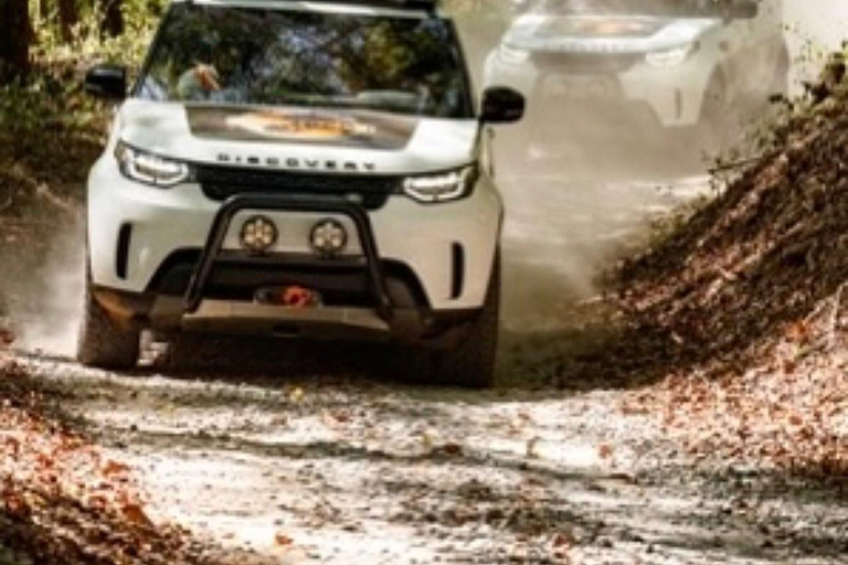 Whistler: Morning with the Bears Land Rover Scenic Tour