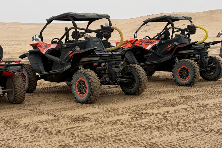 Agadir: Desert and Beach Buggy Tour with Sandboarding
