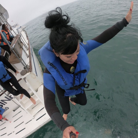 Swimming with sea lions in Lima