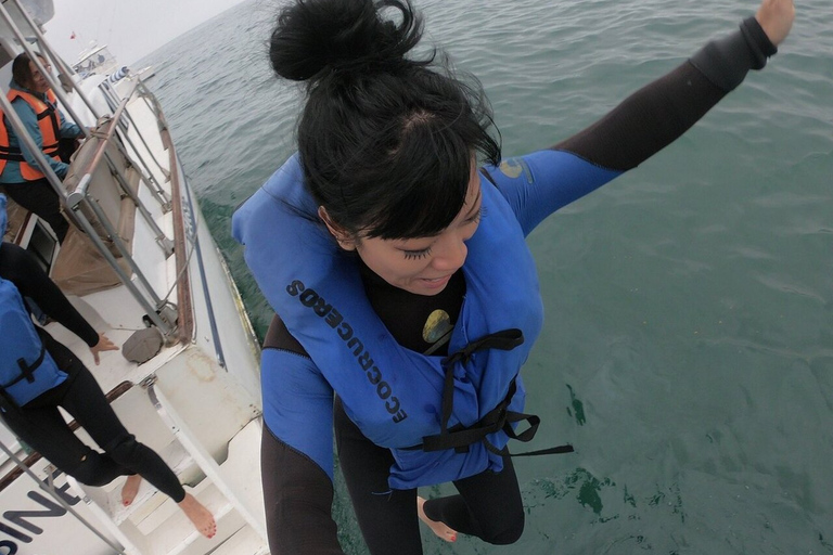 Swimming with sea lions in Lima