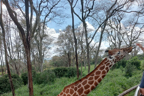 Visite de Karen Blixen, de la fabrique de perles et du centre des girafes