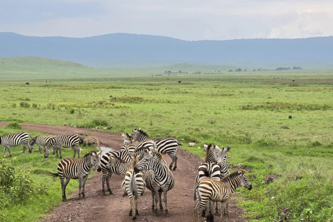 Kampala: 2-Day Lake Mburo National Park Safari Tour