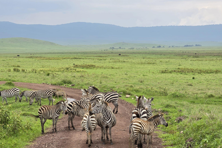 Kampala: 2-Day Lake Mburo National Park Safari Tour
