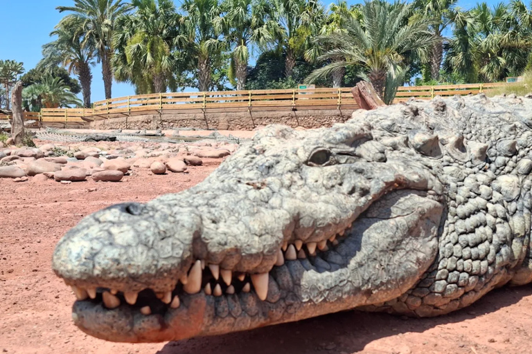 Agadir Crocoparc Entry Ticket with Botanical Gardens Access