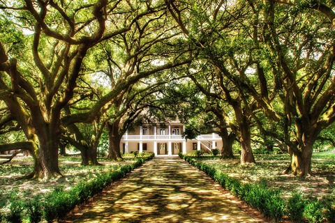 New Orleans: Swamp Boat Ride & Whitney Plantation Tour