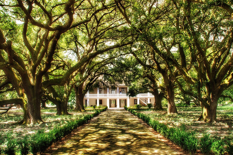 New Orleans: Swamp Boat Ride & Whitney Plantation Tour