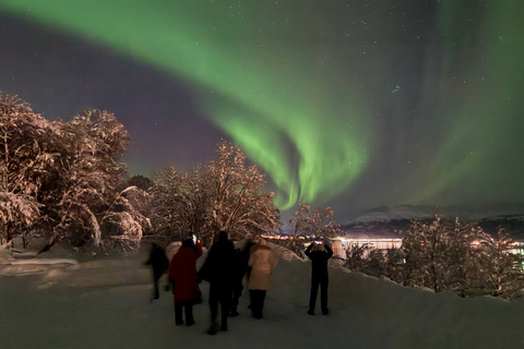 Tromsø: Northern Lights Tour with Photos & Snacks