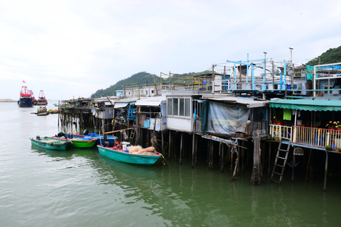 Hong Kong: Lantau Island & Tai O Private Tour with Pickup
