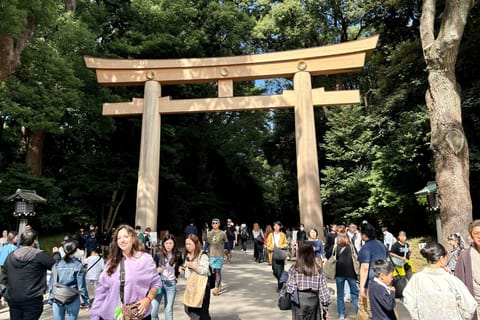Tokyo: 5 Shrine Tour with Goshuin Stamp Collection