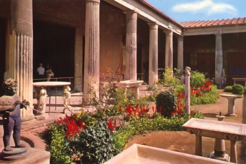 Napels en Pompeii: Half-Day TourVanuit Napels: Tour in het Spaans met ophalen bij hotel