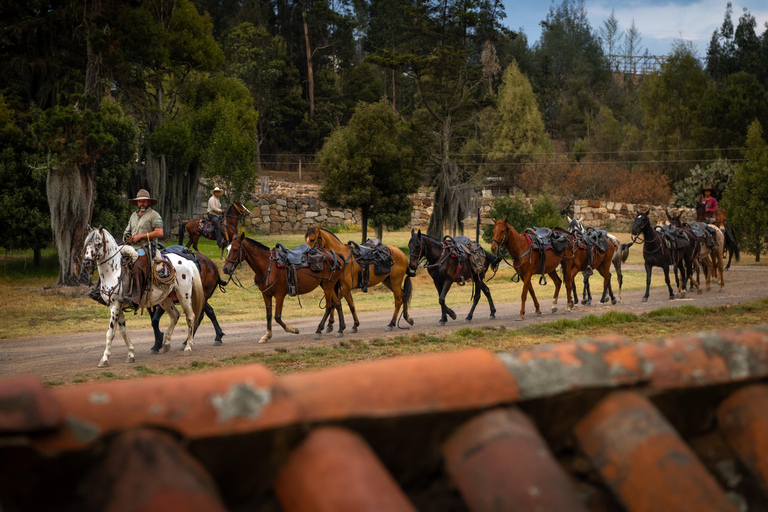 Cundinamarca: La Calera Horseback Riding Tour