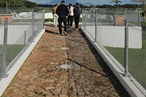 Cape Town: Ostrich Ranch Safari with Hotel Transfer