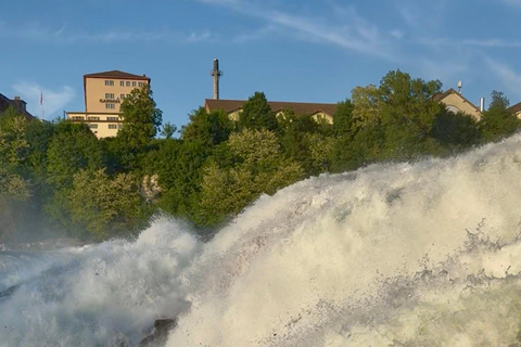 Zurich: Rhine Falls Golden Hour Express Tour