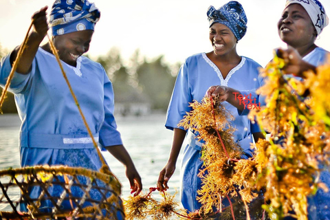Zanzibar: Mtende Village and Seaweed Center Tour with Pickup