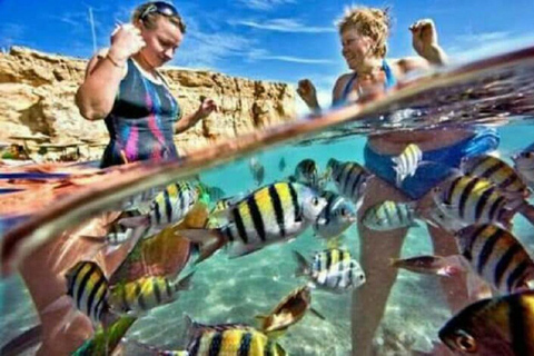 Marsa Alam: Marsa Mubarak Snorkeling Sea Trip with Lunch